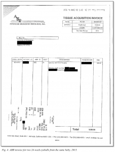 Figure 4: ABR Invoice